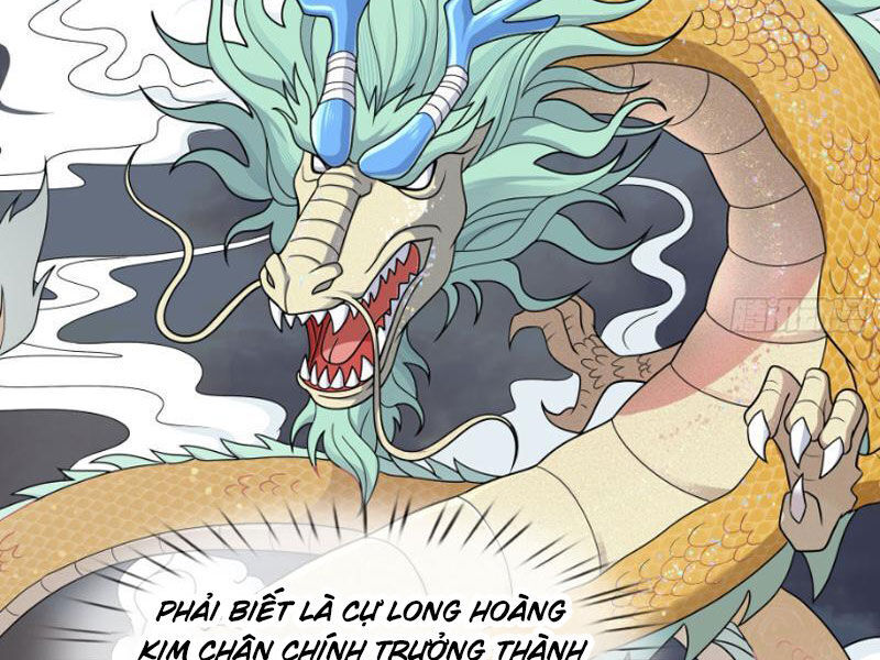 Thu Triệu Vạn Đồ Đệ, Vi Sư Vô Địch Thế Gian Chap 49 - Next Chap 50