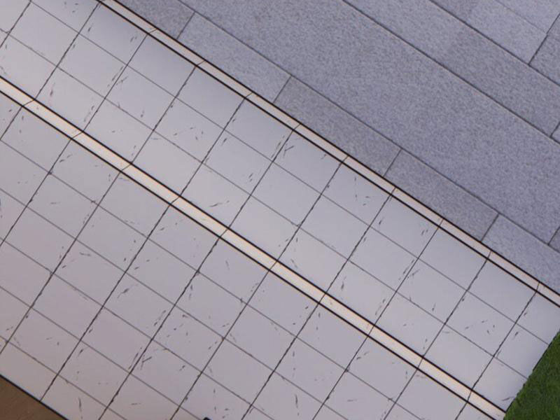 Thu Triệu Vạn Đồ Đệ, Vi Sư Vô Địch Thế Gian Chap 52 - Next Chap 53