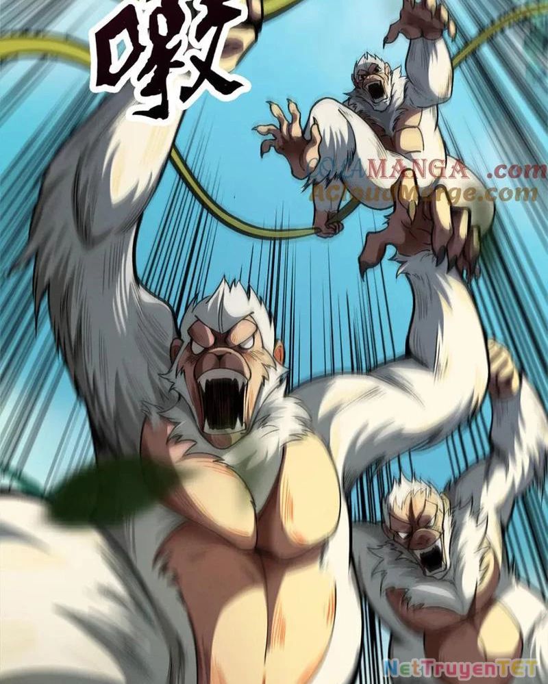 Gặp Mạnh Thì Mạnh, Ta Tu Vi Vô Thượng Hạn Chap 16 - Next Chap 17