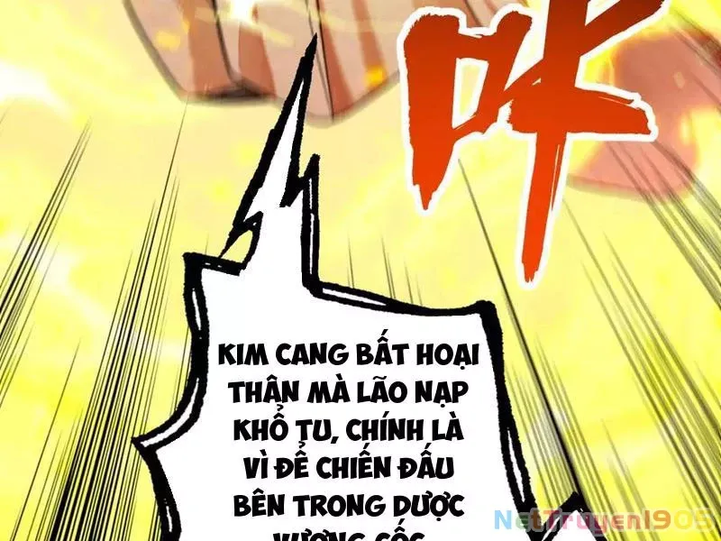 Gặp Mạnh Thì Mạnh, Ta Tu Vi Vô Thượng Hạn Chap 52 - Next Chap 53