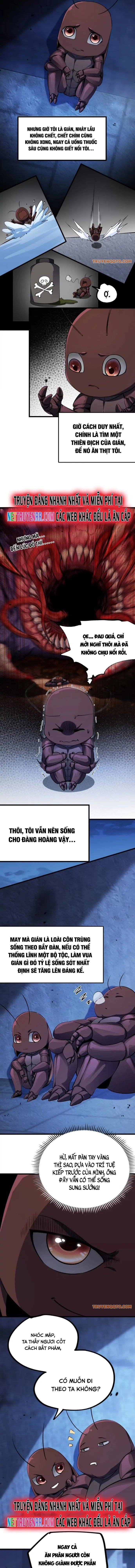 Mạt Thế Cẩu Sinh: Gián Giúp Ta Chồng Buff Chap 2 - Next Chap 3