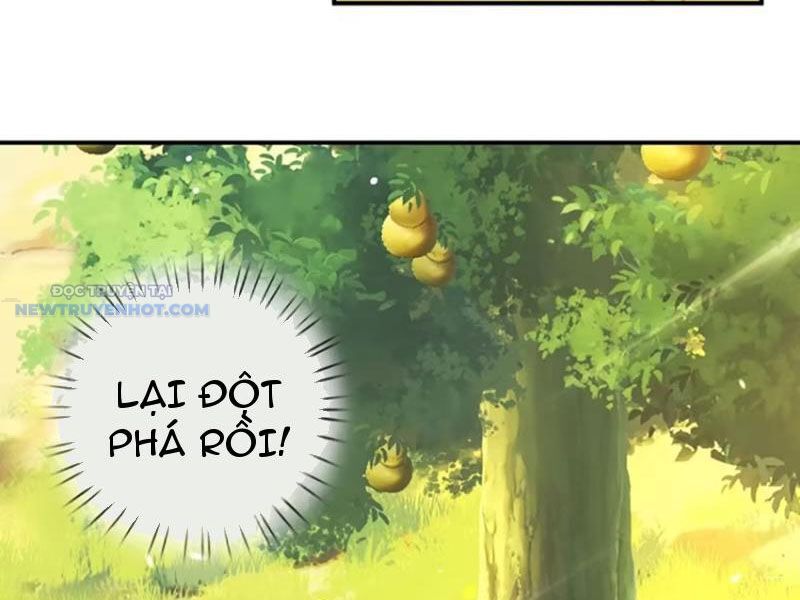 Khắc Đan Tu Tiên Chỉ Cẩu Trường Sinh Chap 71 - Next Chap 72