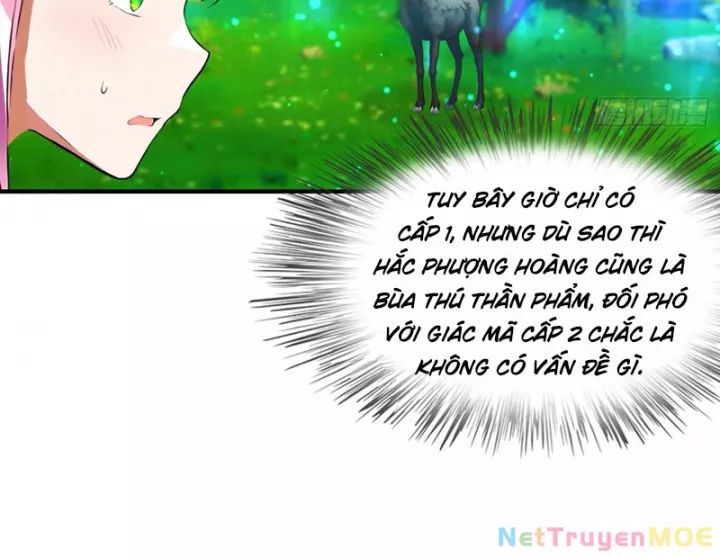 Toàn Dân Ngự Thú: Bắt Đầu Từ Sơn Hải Kinh Ta Quét Ngang Toàn Cầu Chap 3 - Next Chap 4