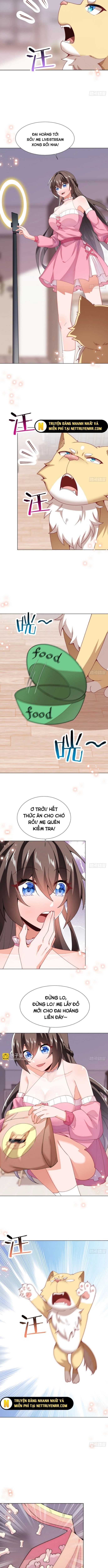 Kế Hoạch Bồi Dưỡng Streamer Của Cẩu Hoàng Chap 14 - Next Chap 15