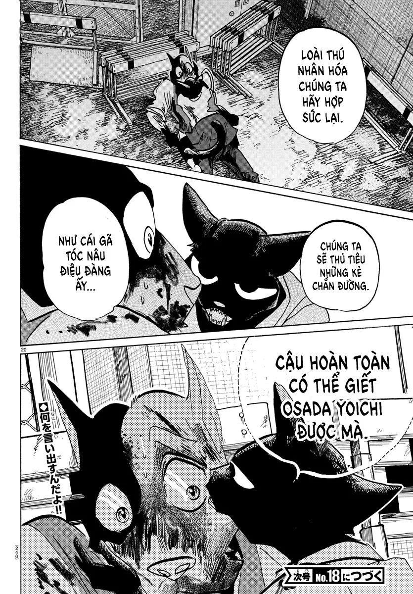 Lý Trí Của Taika Chap 11 - Next Chap 12