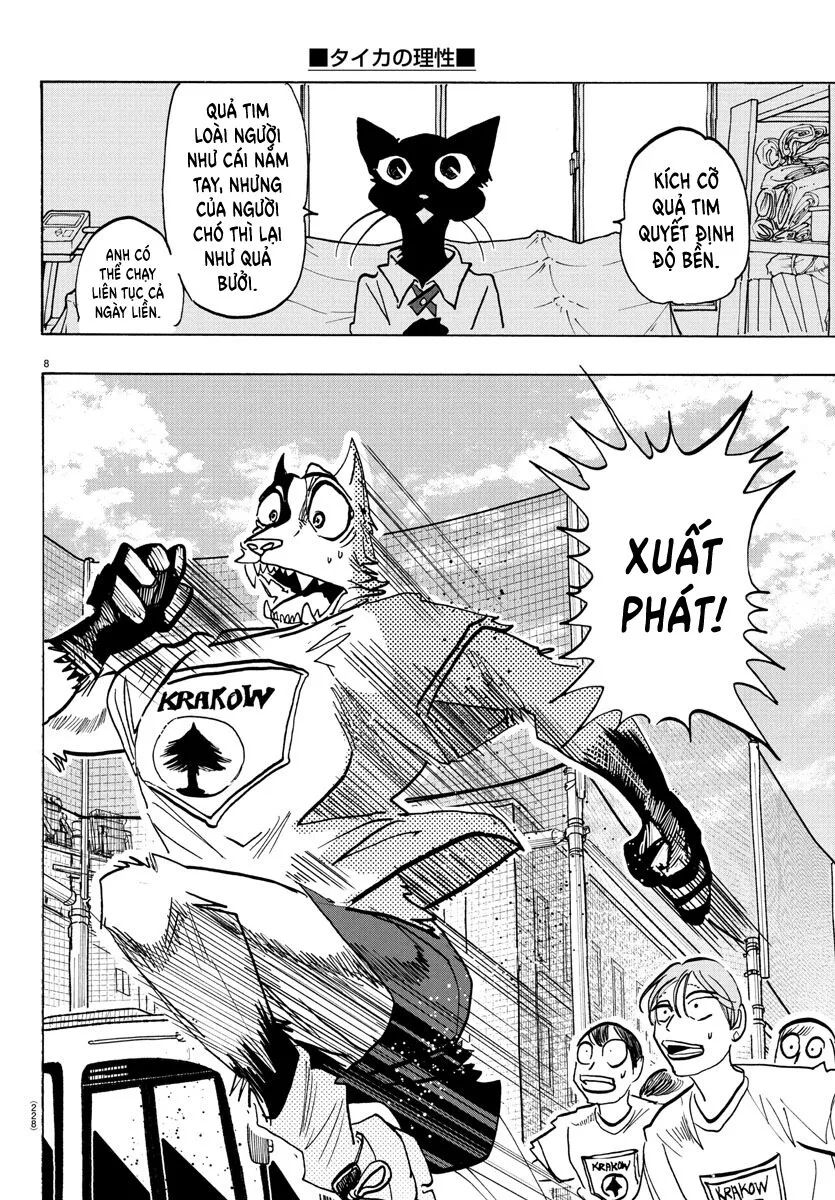 Lý Trí Của Taika Chap 11 - Next Chap 12