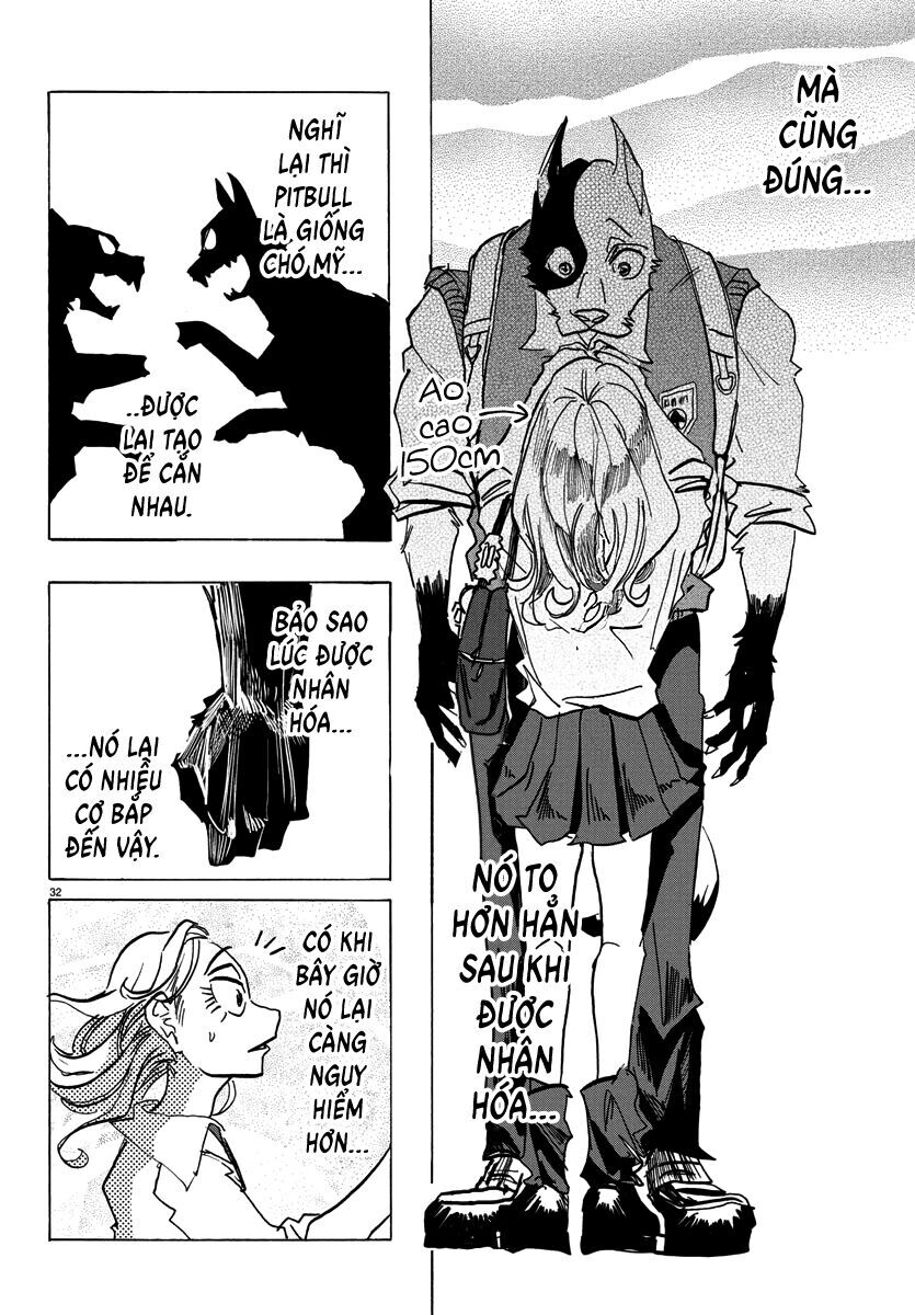 Lý Trí Của Taika Chap 2 - Next Chap 3