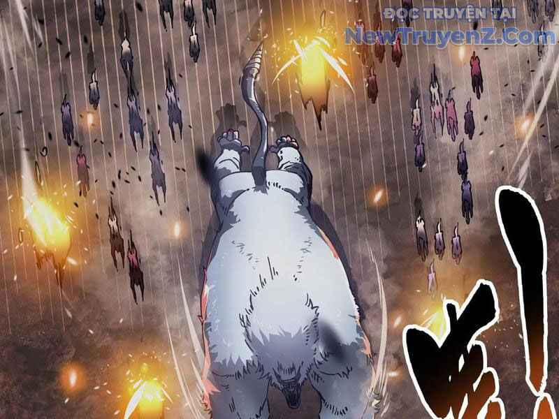 Cao Võ Tiến Hóa: Bắt Đầu Thức Tỉnh Quái Thú Chi Vương Chap 24 - Next Chap 25