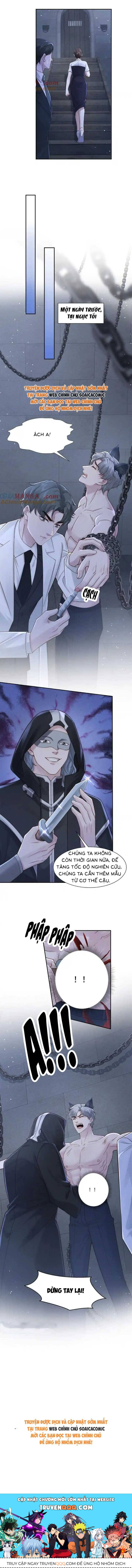 Hôn Nhân Chớp Nhoáng Với Thái Tử Tộc Sói Chap 44 - Next Chap 45