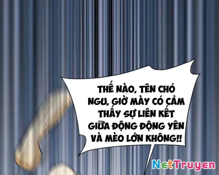 Đến Ma Quỷ Còn Sợ Tâm Thần Chap 156 - Next Chap 157