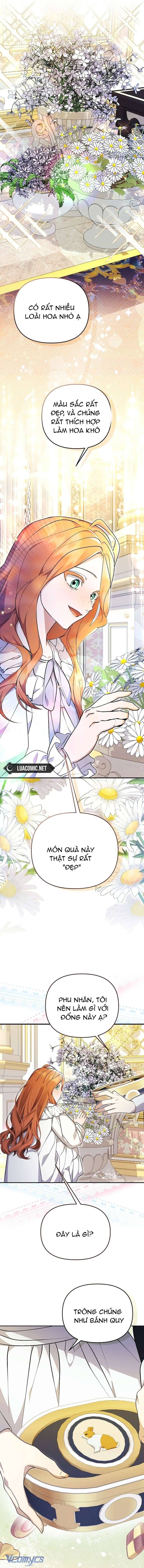 Cô Vợ Xấu Xí Của Công Tước Ám Muội Chap 11 - Next Chap 12