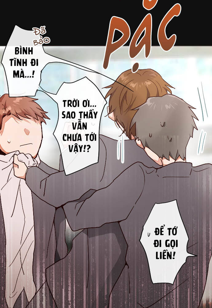 Hoa Cánh Sao Chap 101 - Next Chap 102