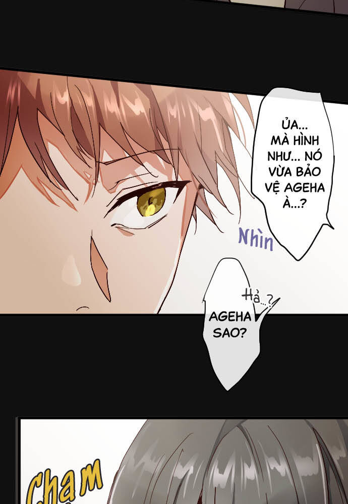 Hoa Cánh Sao Chap 101 - Next Chap 102