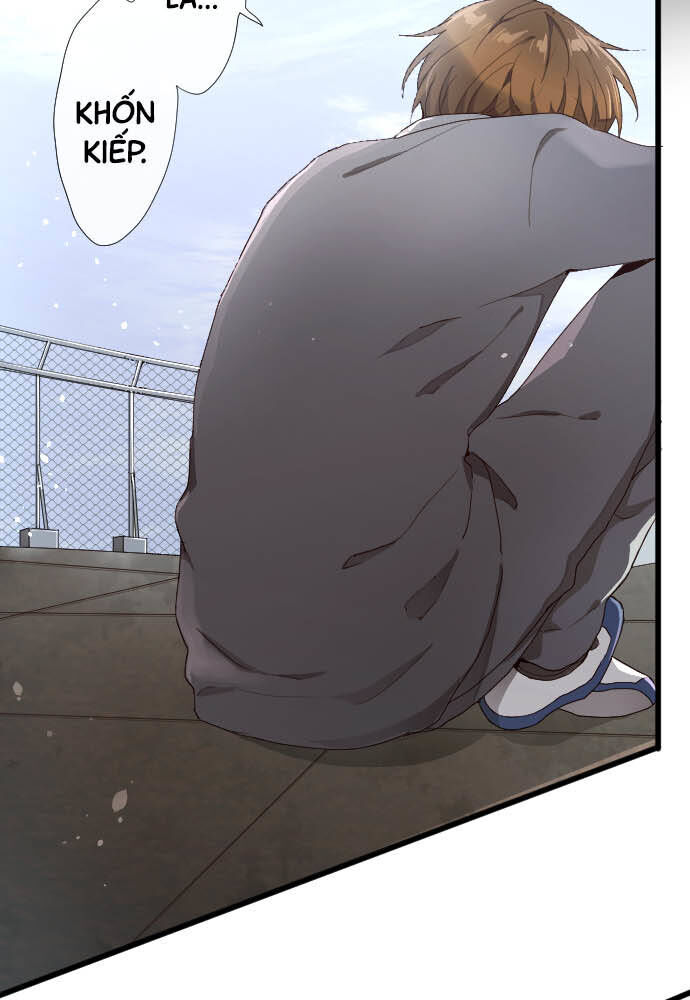 Hoa Cánh Sao Chap 102 - Next Chap 103