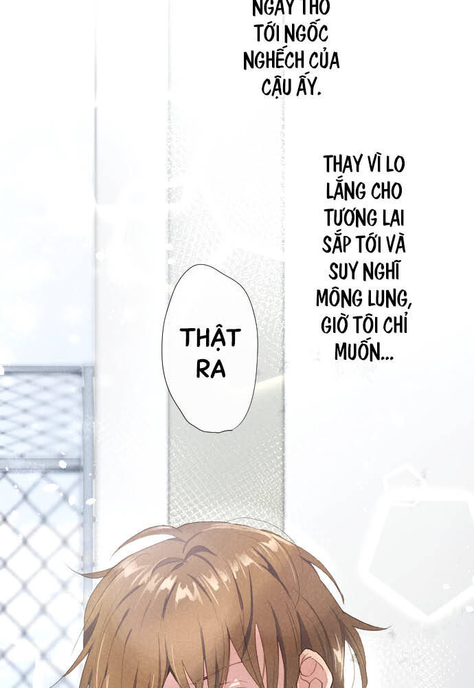 Hoa Cánh Sao Chap 102 - Next Chap 103