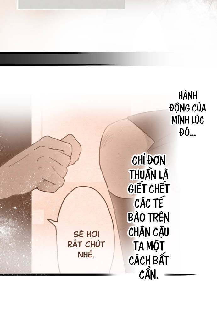 Hoa Cánh Sao Chap 30 - Next Chap 31