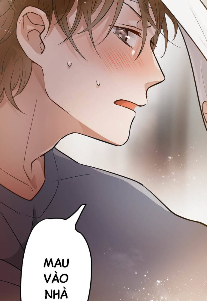 Hoa Cánh Sao Chap 30 - Next Chap 31