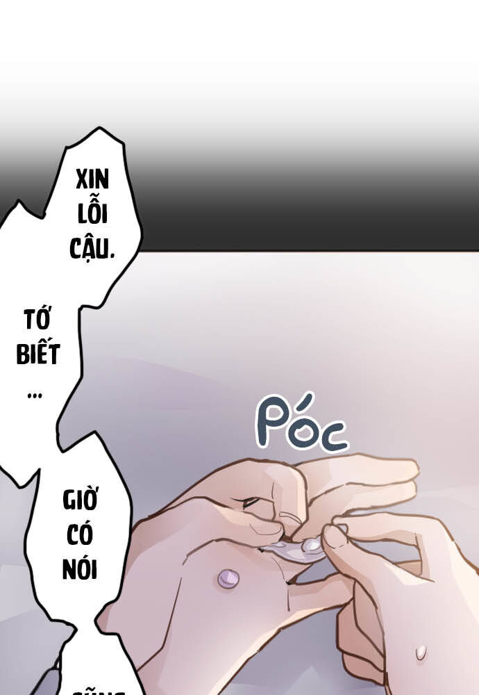 Hoa Cánh Sao Chap 32 - Next Chap 33