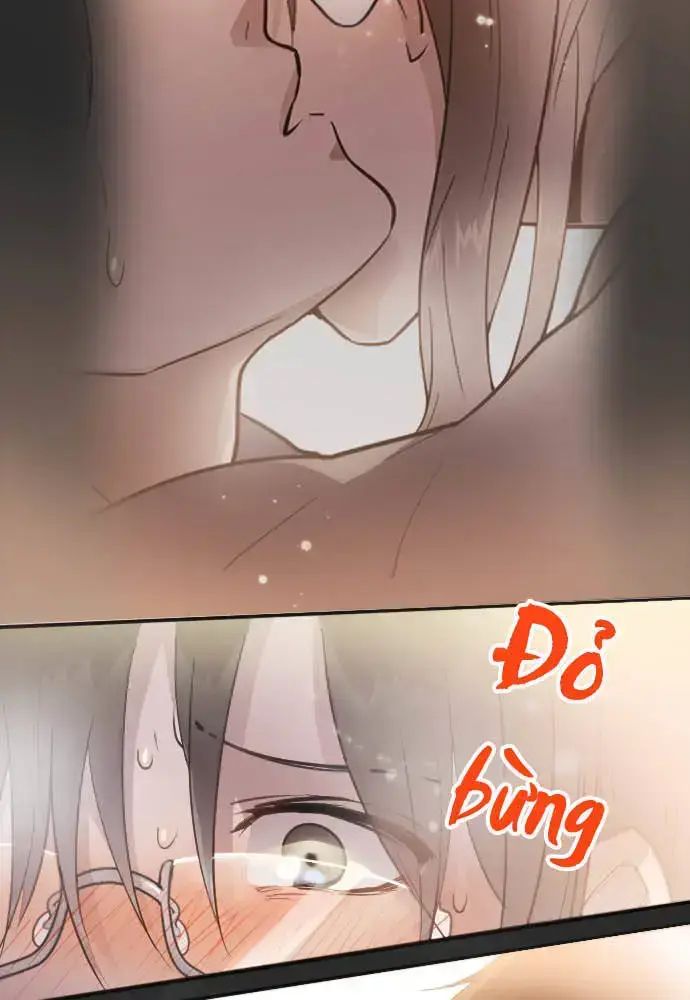Hoa Cánh Sao Chap 36 - Next Chap 37