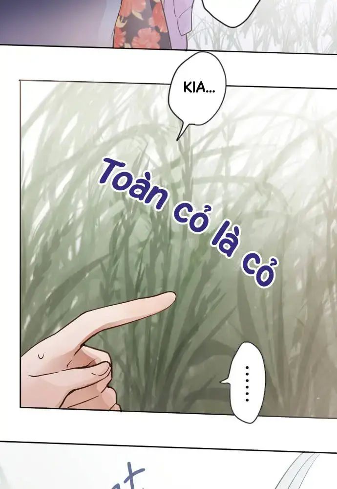 Hoa Cánh Sao Chap 38 - Next Chap 39