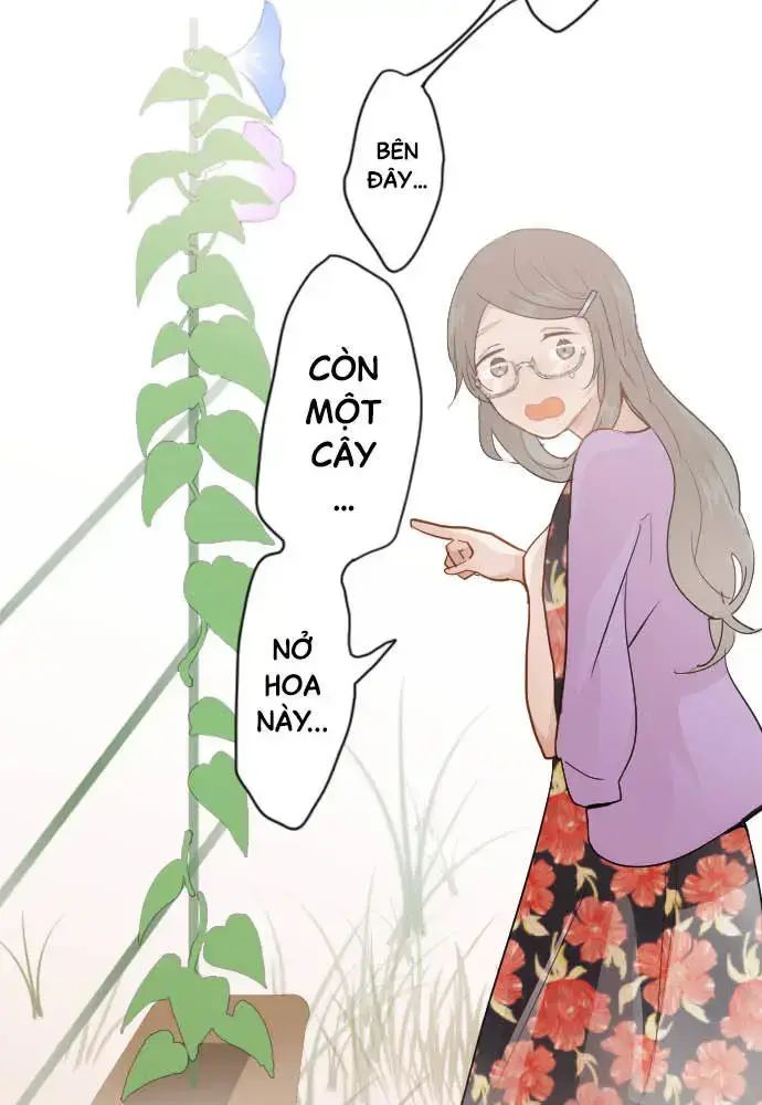Hoa Cánh Sao Chap 38 - Next Chap 39