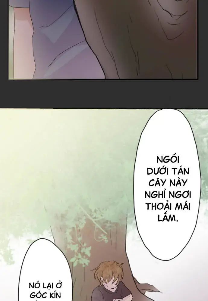 Hoa Cánh Sao Chap 39 - Next Chap 40