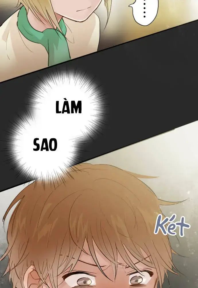 Hoa Cánh Sao Chap 42 - Next Chap 43