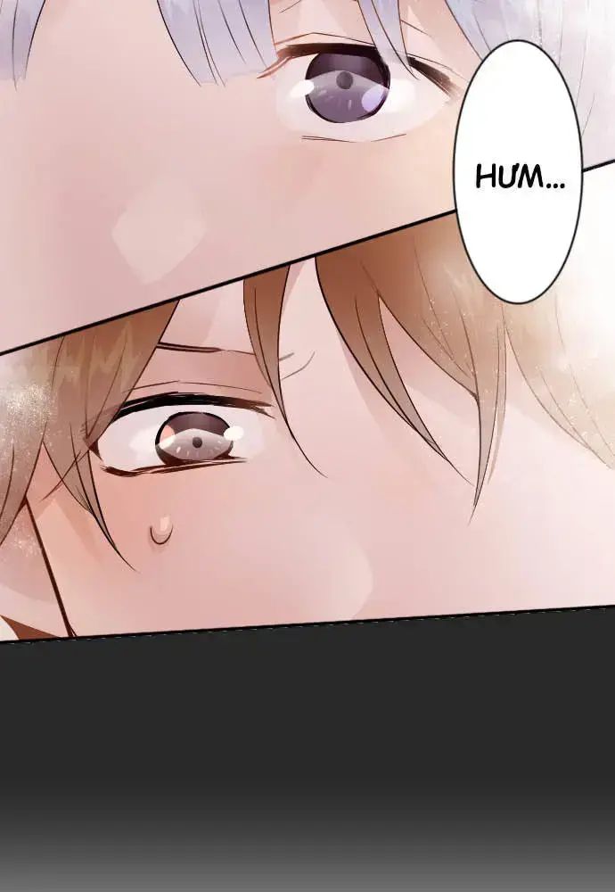 Hoa Cánh Sao Chap 45 - Next Chap 46