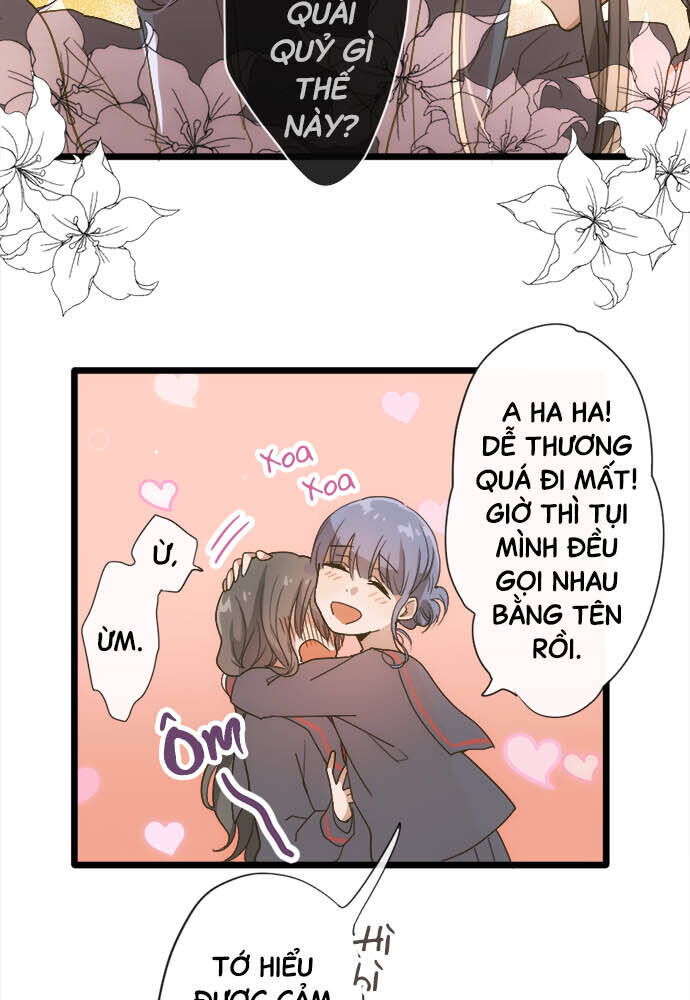 Hoa Cánh Sao Chap 80 - Next Chap 81