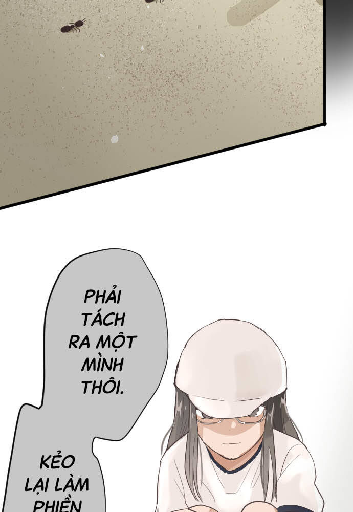 Hoa Cánh Sao Chap 90 - Next Chap 91