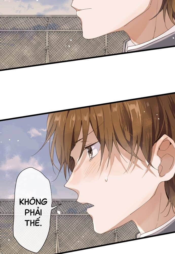 Hoa Cánh Sao Chap 98 - Next Chap 99