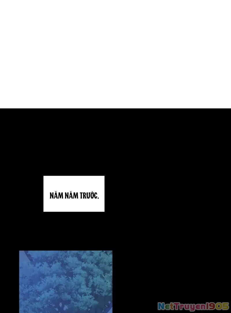 Đại lão, đầu cô lại rớt rồi kìa! Chap 8 - Next Chap 9