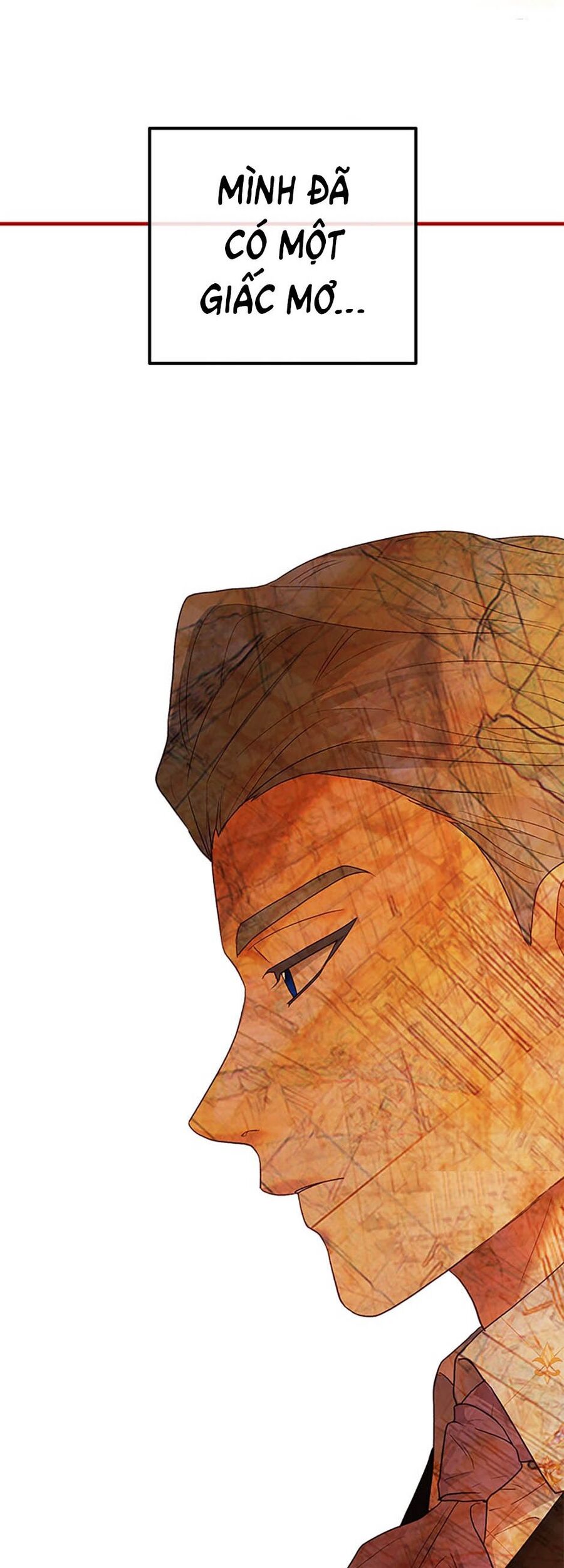 Cuộc Sống Xa Hoa Của Cô Nhân Tình Giả Chap 46 - Next Chap 47