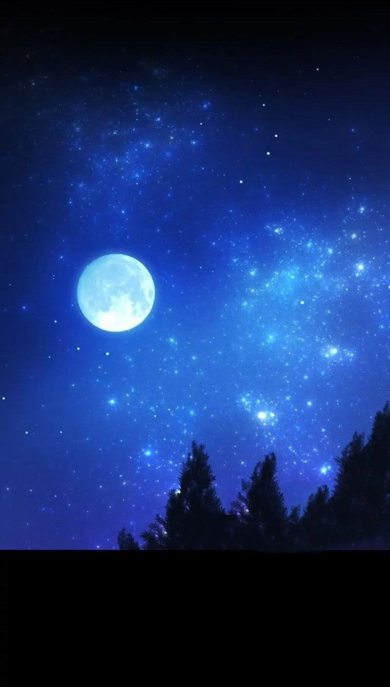 Hợp Đồng Hôn Nhân Với Công Tước Bất Lực Chap 2 - Next Chap 3