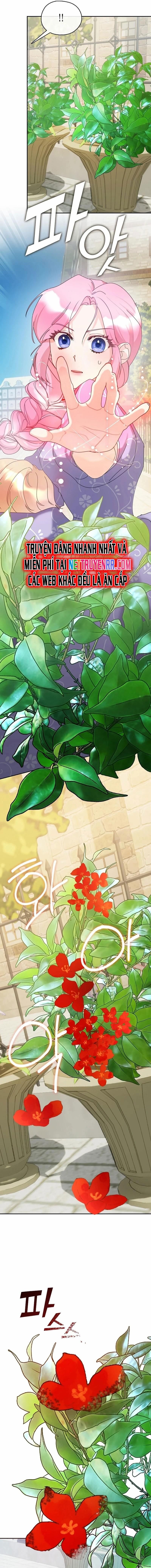 Tình Yêu Hỡi, Sao Người Lại Hối Hận Rồi? Chap 13 - Next Chap 14