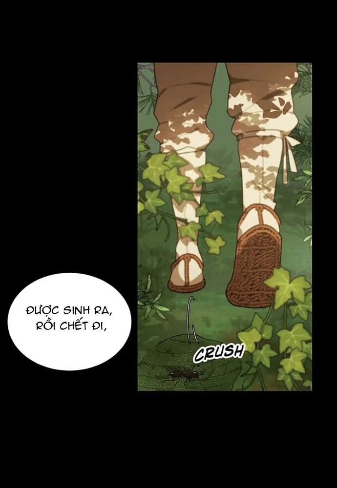 Tiểu Thuyết Đầu Tay Của Ác Nữ Chap 23 - Next Chap 24