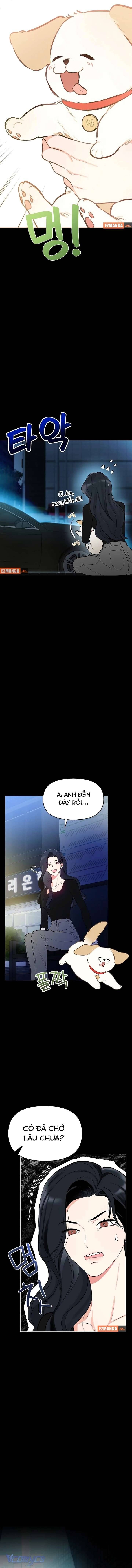 Sếp, Em Sẽ Trở Thành Cún Cưng Của Anh Chap 1 - Next Chap 2