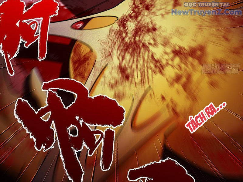 Trùng Sinh Tại Thế Giới Tu Chân, Ta Giết Tới Đỉnh Chap 5 - Next Chap 6