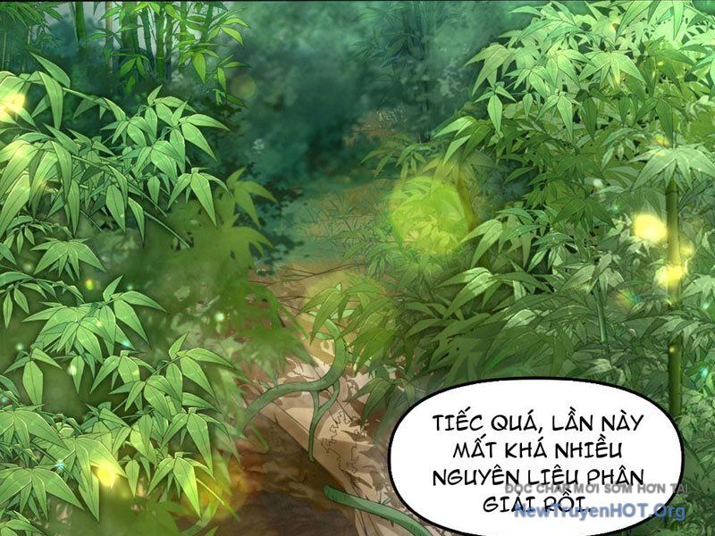 Thập Hoang Chi Vương Chap 12 - Next Chap 13