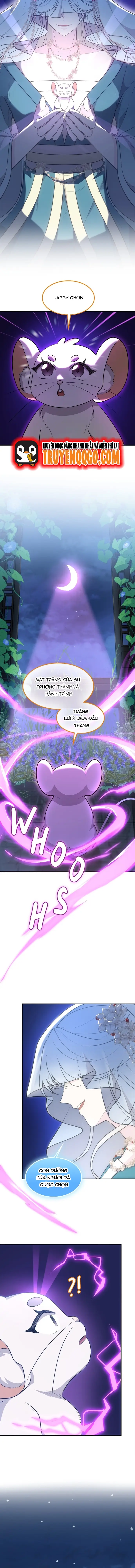 Chân Lý Tu Tiên Chap 24 - Next Chap 25