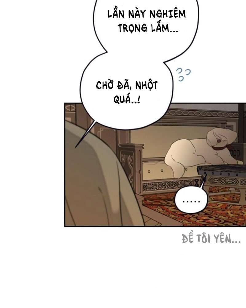 Trận Đấu Đồng Đội Của Những Tài Xế Xe Tải Chap 39 - Next Chap 40