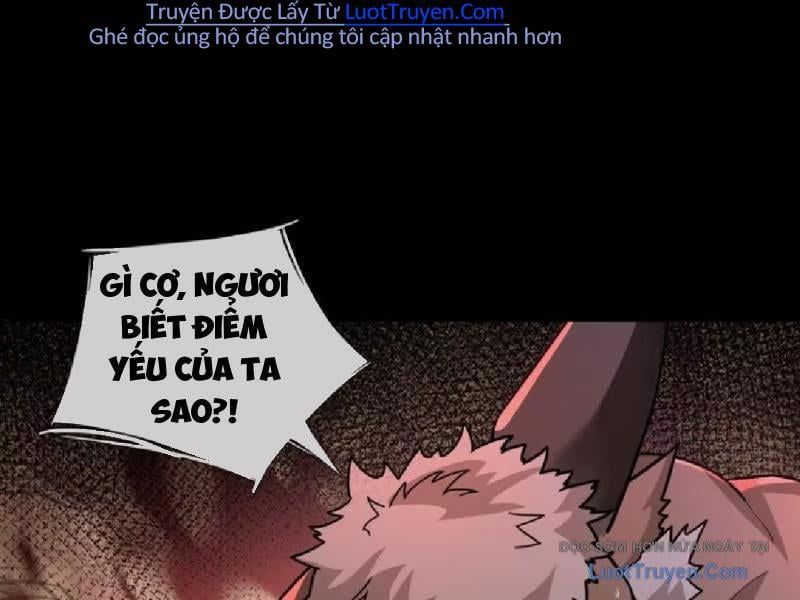Toàn Cầu Sợ Hãi: Tôi Mở Hack Tự Chọn Cửa Hàng Chap 28 - Next Chap 29