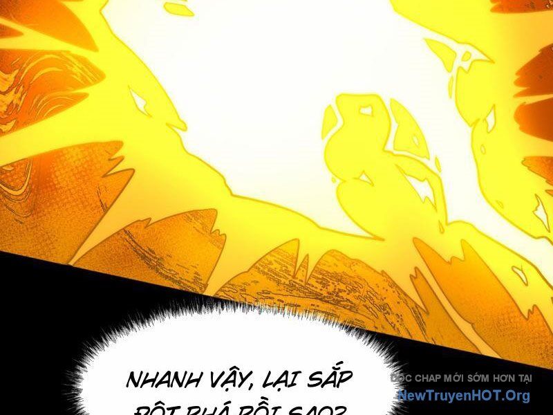 Sau Khi Chia Tay Hoa Khôi, Võ Đạo Của Ta Thẳng Tới Cấp Thần Chap 4 - Next Chap 5
