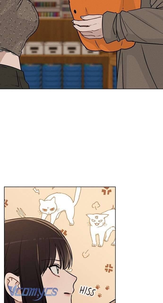 Review Người Yêu Cũ Chap 13 - Next Chap 14