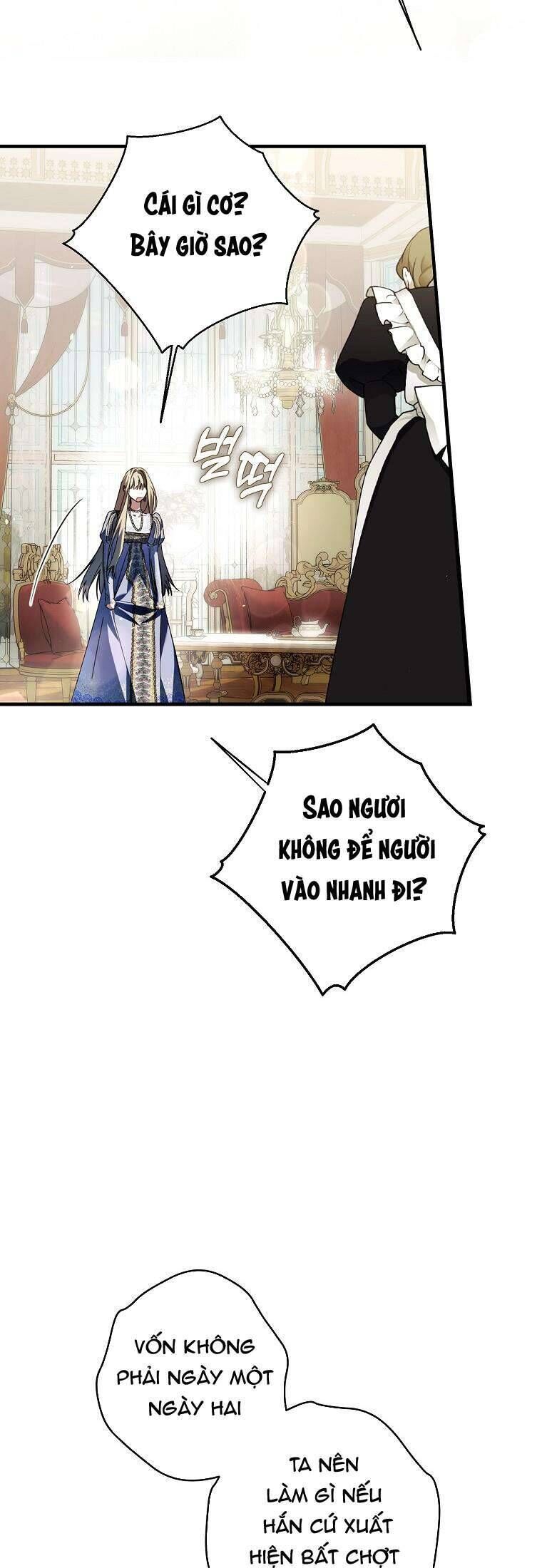 Các Nam Chính Đã Bị Nữ Phụ Cướp Mất Chap 28 - Next Chap 29