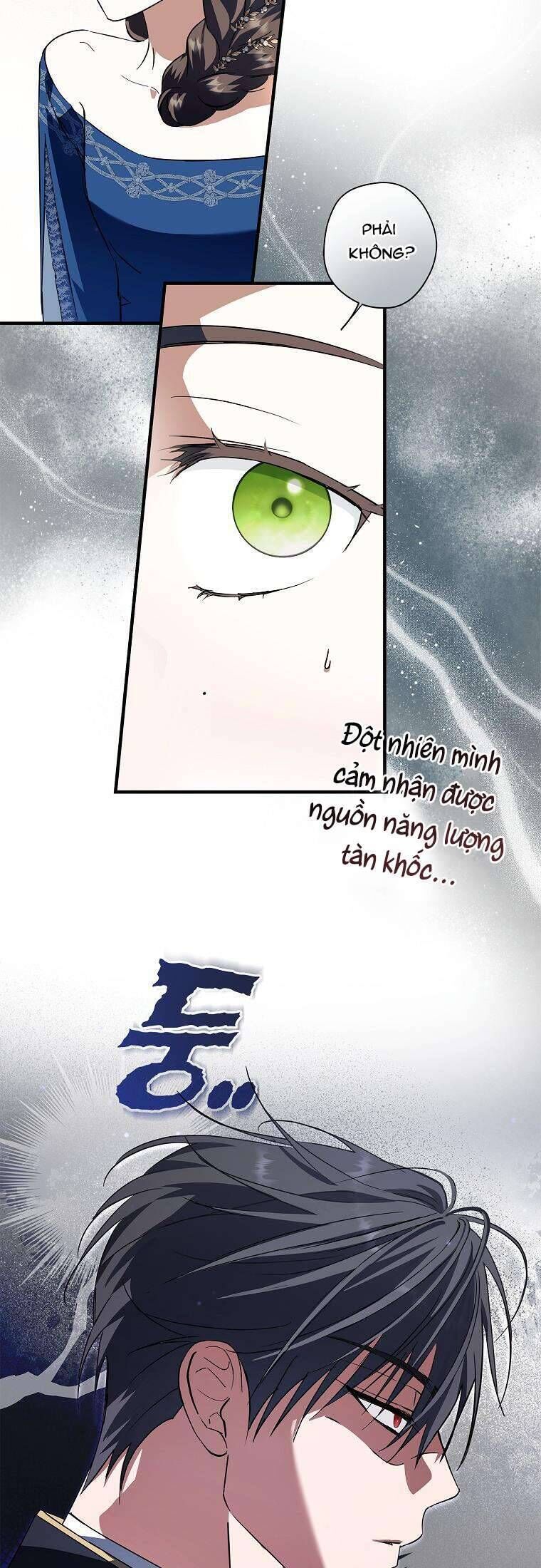 Các Nam Chính Đã Bị Nữ Phụ Cướp Mất Chap 29 - Next Chap 30