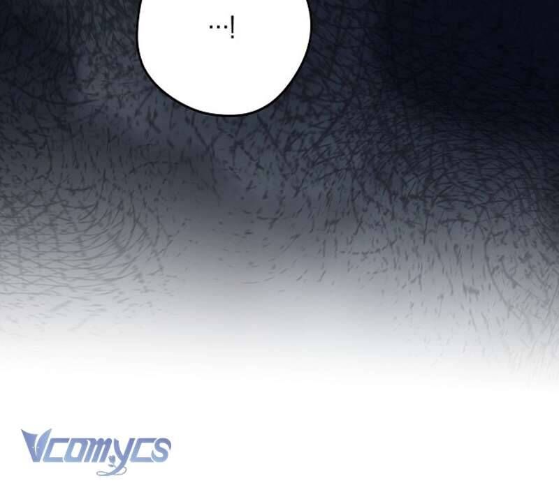 Các Nam Chính Đã Bị Nữ Phụ Cướp Mất Chap 47 - Next Chap 48