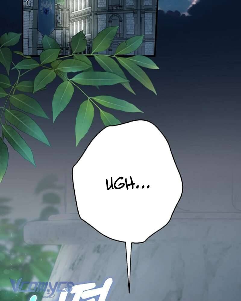 Các Nam Chính Đã Bị Nữ Phụ Cướp Mất Chap 51 - Next Chap 52