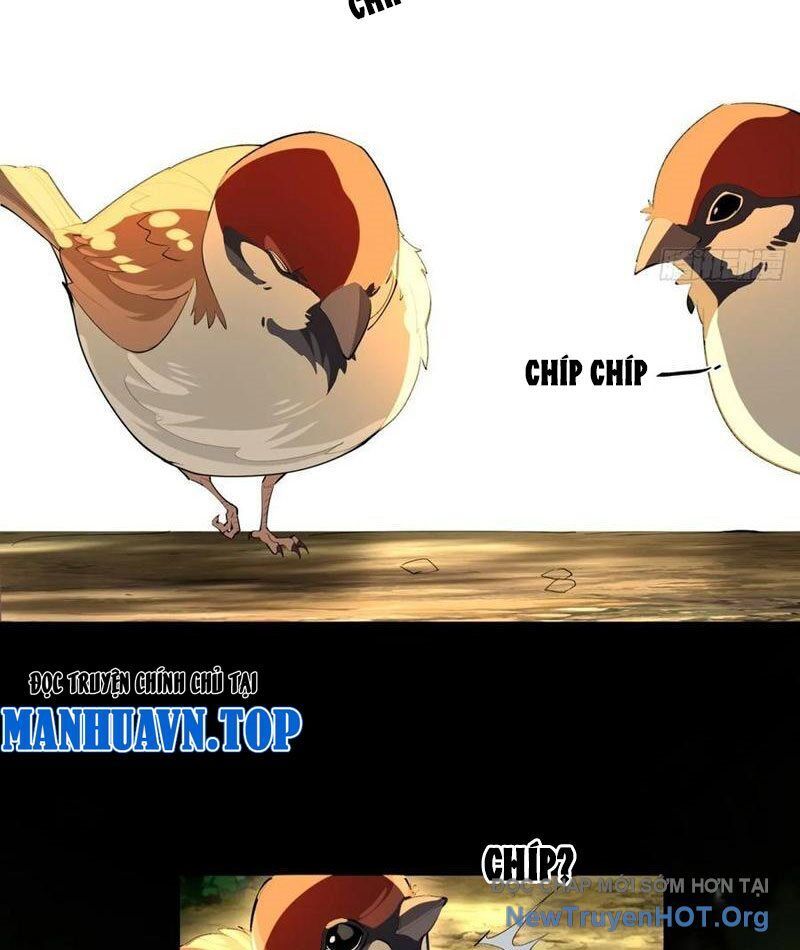 Giáo Chủ Ma Giáo Vụng Trộm Xem Ta Tu Luyện Chap 7 - Next Chap 8