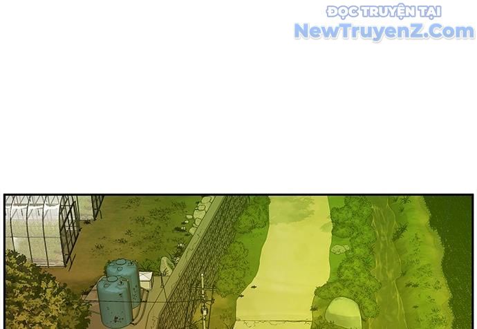 Cửa Hàng Đồ Cổ Tương Lai Chap 20 - Next Chap 21